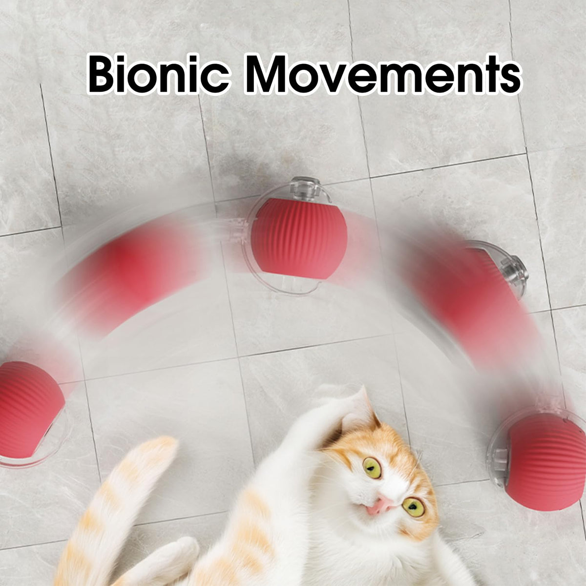 Yopoll interactive pet toy ball