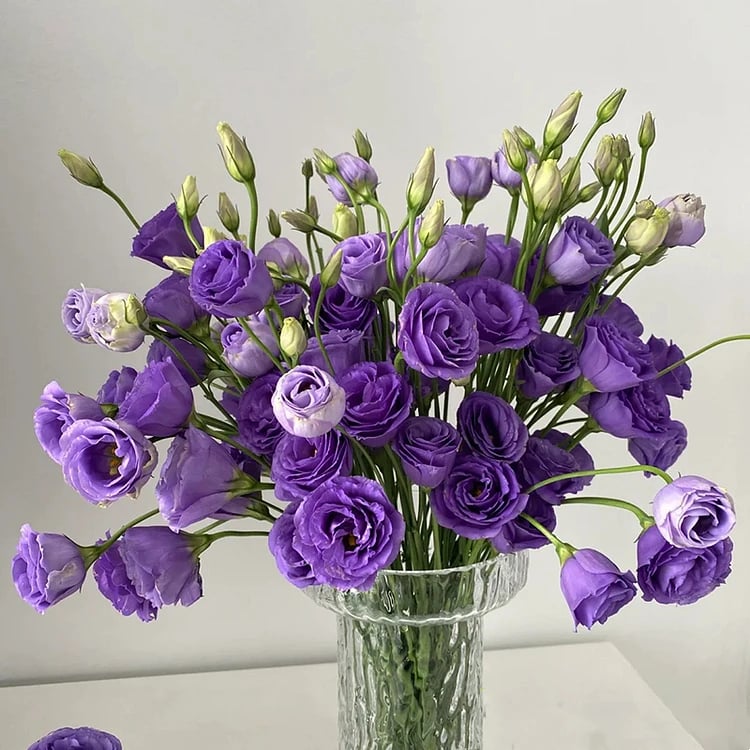 Eustoma Thornless Rose💐Lisanthus Seeds